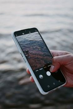 phỏm F8bet